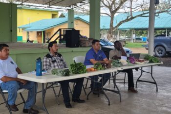 Ministry of Agriculture Hosts National Vegetable Stakeholders Meeting