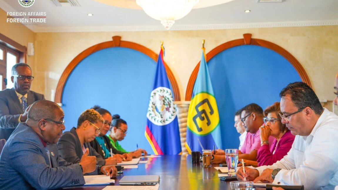 Belize’s Ambassador Young Assumes Chairmanship of the Permanent Council of the OAS