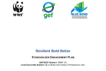 Public Disclosure of Safeguards Documents for WWF GEF BGI IP Child Project: RBB